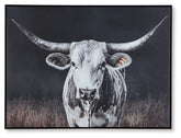 Harlandale Wall Decor